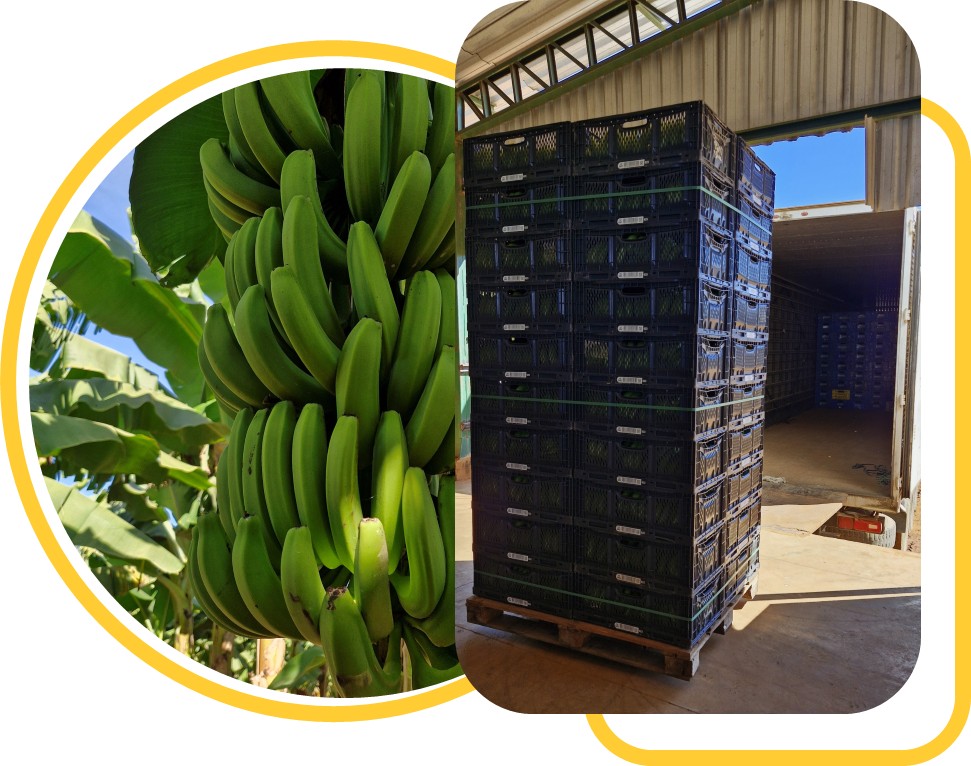 Atendimento personalizado